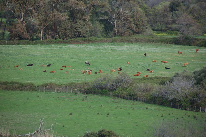 DSC_0340.JPG