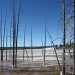Geysers