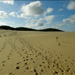DSCN1136.jpg
