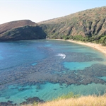 Honolulu attractions fun