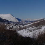 SAM_0477.JPG