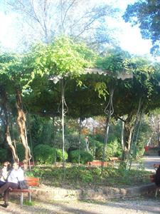 100_3867.JPG