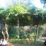 100_3867.JPG