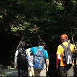 DSC_0017 小徑常有樹蔭.jpg