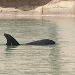 dubai_2891.jpg