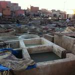 Tannery.JPG