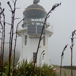 World Tour part 46, Far North, New Zealand