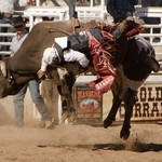 Cave Creek Rodeo 4-1-12 336.jpg