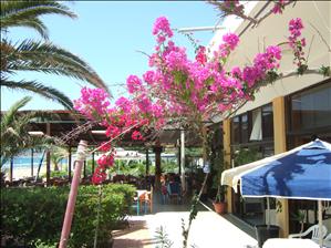Near to the Sacallis Hotel, Kefalos Bay the Sacallis Hotel, Kefalos Bay