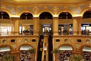 IMG_8519.JPG