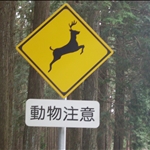 Fujinomiya