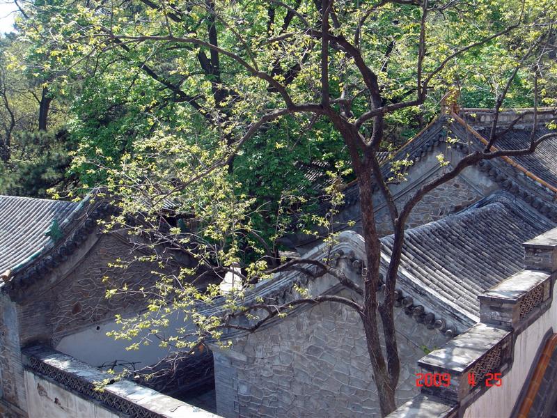 DSC06100.JPG
