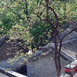 DSC06100.JPG