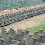 萬宜水庫下的緩衝區 protective coffer dam