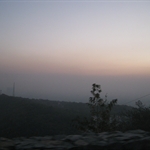 IMG_3502.JPG