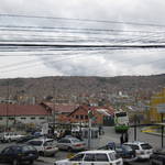IMG_7859.JPG