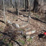Natural Steps on the Darlington Trail
