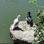 DSC01670.JPG