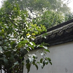 P1000818.jpg