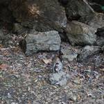 small_DSC_0319.jpg