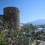 Calvi Corse