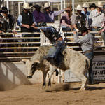 Cave Creek Rodeo 4-1-12 312.jpg