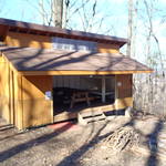 Darlington Shelter