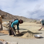 Road to Lhasa 5. Xigatse to Gyantse oct11