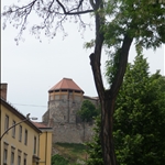 P1010738.JPG