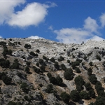 RIMG0170.JPG