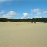 DSCN1110.jpg