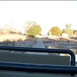 limpopo river
