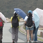 萬宜路 Man Yee Road