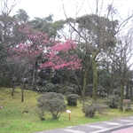 【Easy Climber】20100201登山社第66次活動-登紗帽山, 橫嶺古道