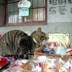 20120226-DSC_3886.jpg