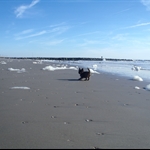 Ocean City NJ 