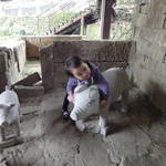 DSC00582.JPG