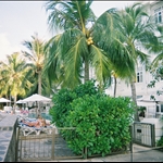 cdGOHAN-R1-009-3.jpg