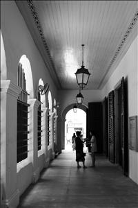 IMG_8335.JPG
