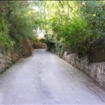 ein kerem1.jpg