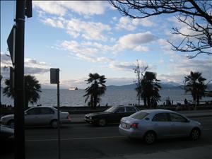 IMG_2711.JPG