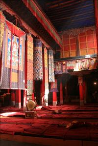 IMG_4711resized.JPG