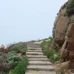 DSC01877.JPG