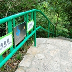 逆行港島徑第二段 (田灣邨段)