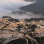 Yuanyang, Yunnan, China - 27-29.4.2010