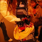 dogs&kids