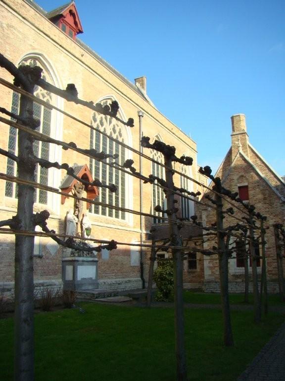 DSC02264.jpg
