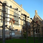 DSC02264.jpg