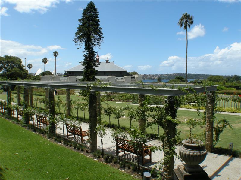 DSCN1300.jpg