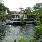 Asia Tour 2011